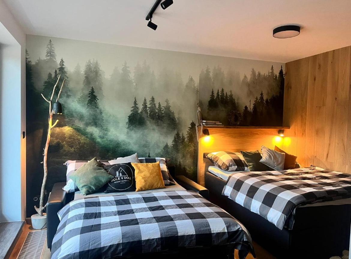 Apartament Dole V Dole Černý Důl
